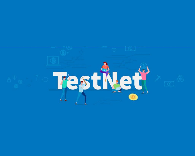 What is a Testnet?